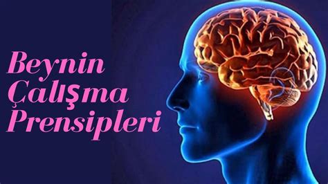 Risebet Sisteminin Çalışma Prensipleri